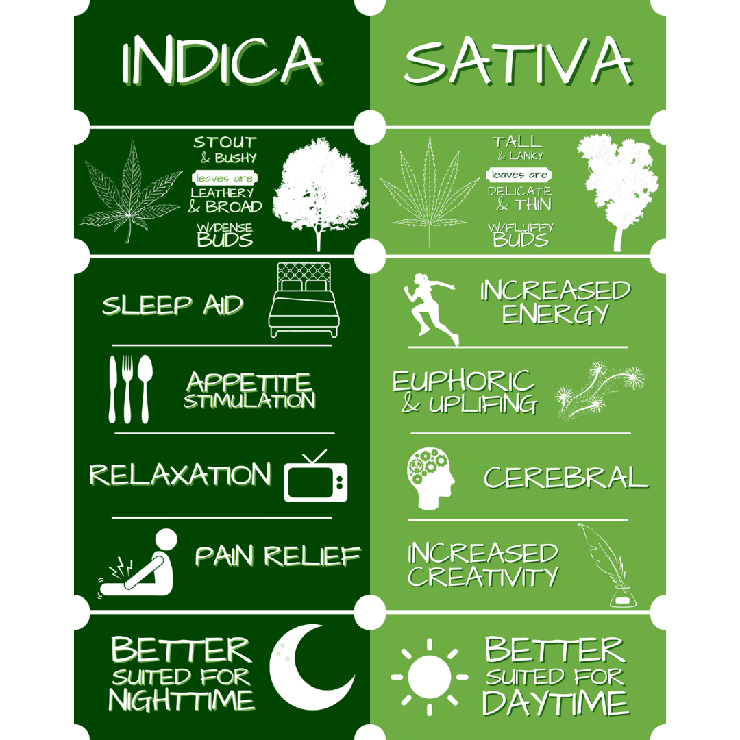 Is Delta 8 Indica Or Sativa Delta-8 Indica vs Sativa. Learn the basics in Part 1