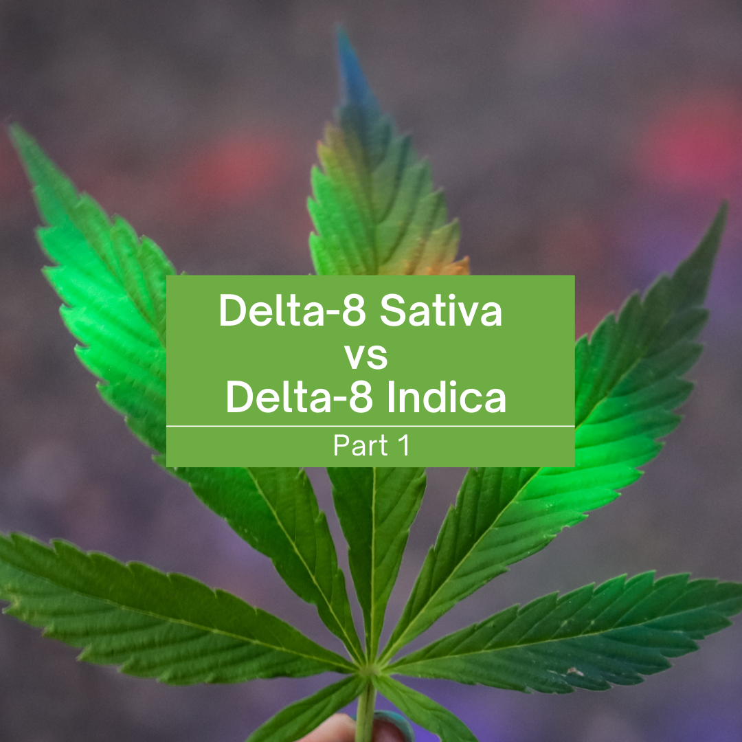 Cover image for the blog delta 8 sativa vs delta 8 indica with a pot leaf on a purple background