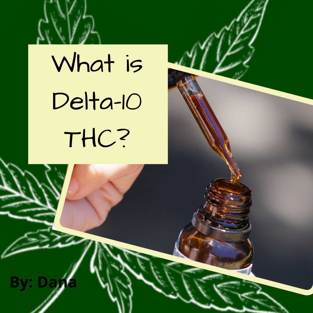 cover image for the blog what is Delta 10 THC with a close up of a bottle and a dropper within a square frame with a drawing of a marijuana leaf